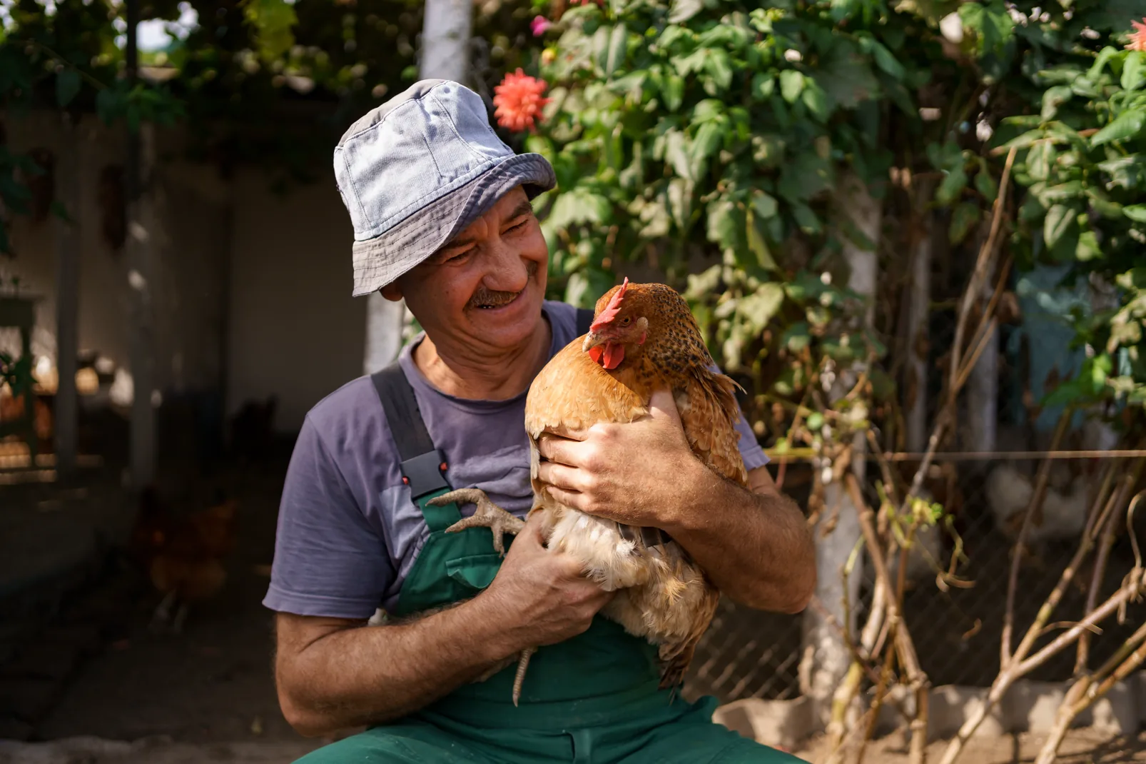 A farmer smiling while holding a hen in the farm yard
